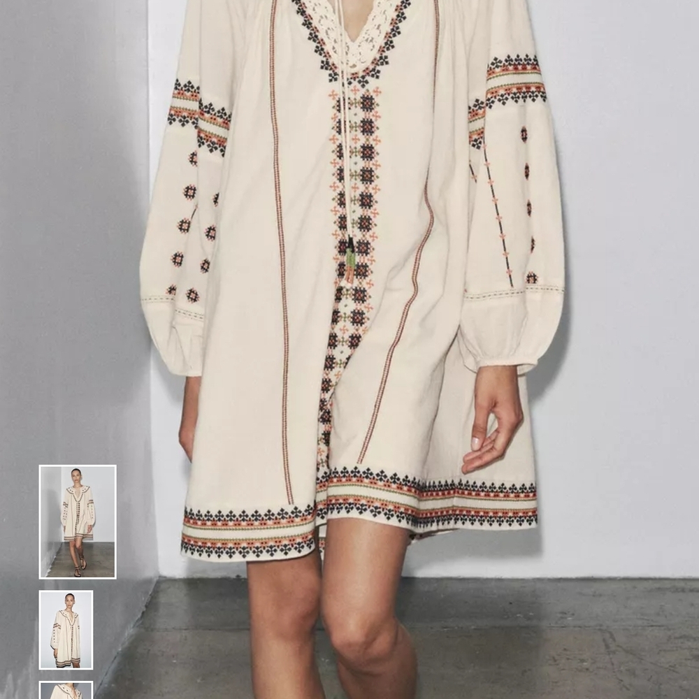 Zara Beige Embroidered Long Sleeve Dress - Picture 2 of 16